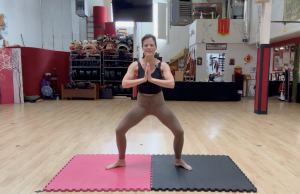 14 Minute Quick Lower Body